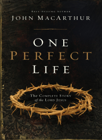 Cover image: One Perfect Life 9780310165750