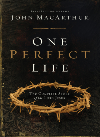 Cover image: One Perfect Life 9780310165750