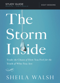 Cover image: The Storm Inside Bible Study Guide 9781401677633