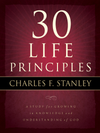 Cover image: 30 Life Principles 9781418531089