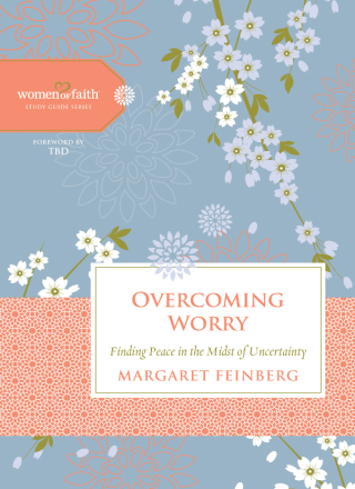 Cover image: Overcoming Worry 9781401679156
