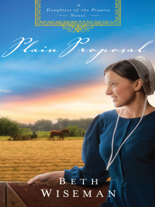 Titelbild: Plain Proposal 9781595548504