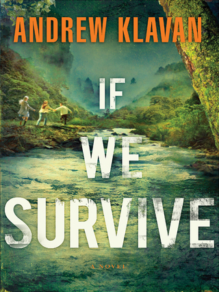 Cover image: If We Survive 1st edition 9781595547965