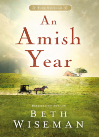 Cover image: An Amish Year 9781401689773