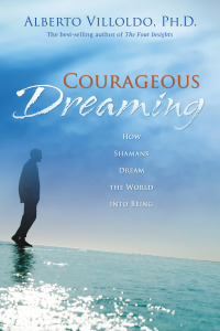 Cover image: Courageous Dreaming 9781401917562