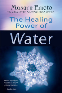 Cover image: The Healing Power of Water 9781401908775