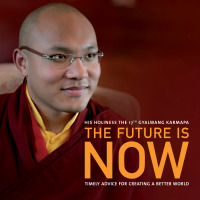 Cover image: The Future Is Now 9781401923006
