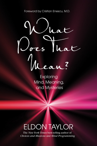 Cover image: What Does That Mean? 9781401923334