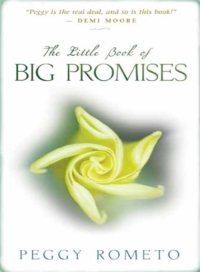Cover image: The Little Book of Big Promises 9781401924539