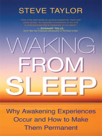 Cover image: Waking From Sleep 9781401928704