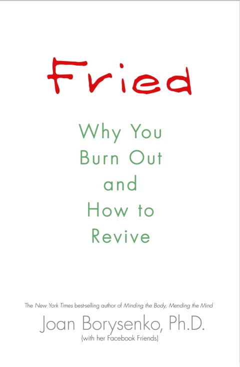 Fried : Why You Burn Out and How to Revive - FULL INSTANT DOWNLOAD | PDF DOCX EPUB