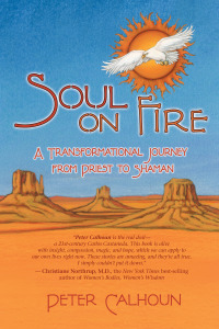 Cover image: Soul on Fire 9781401917487