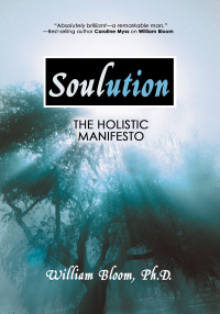 Cover image: Soulution 9781401903411