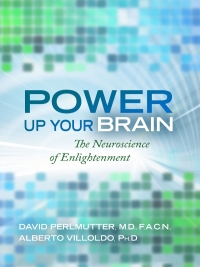Cover image: Power Up Your Brain 9781401928179