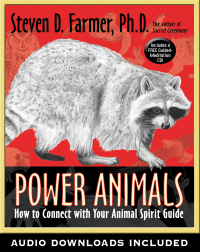 Cover image: Power Animals 9781401925536