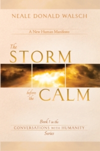 Cover image: The Storm Before the Calm 9781401936921