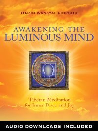 Cover image: Awakening the Luminous Mind 9781401937614