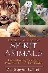 Cover image: Pocket Guide to Spirit Animals 9781401939656