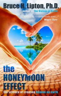 Cover image: The Honeymoon Effect 9781401923860