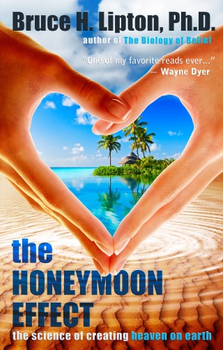 Cover image: The Honeymoon Effect 9781401923860