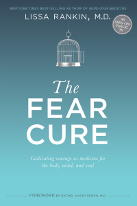 Cover image: The Fear Cure 9781401944261