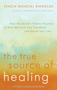 Cover image: The True Source of Healing 9781401944490