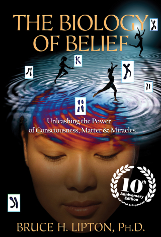 Cover image: The Biology of Belief 10th Anniversary Edition 9781401952471