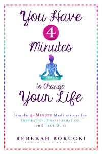 Cover image: You Have 4 Minutes to Change Your Life 9781401949723