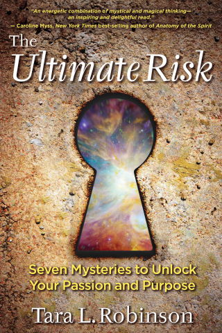 Cover image: The Ultimate Risk 9781401950323