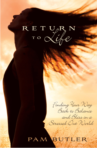 Cover image: Return To Life 9781401950835
