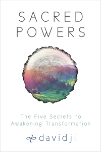 Cover image: Sacred Powers 9781401952839