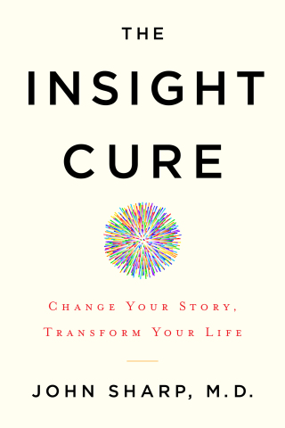 Cover image: The Insight Cure 9781401953249