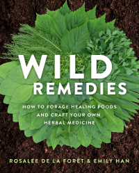 Cover image: Wild Remedies 9781401956882
