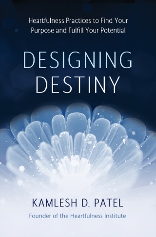 Cover image: Designing Destiny 9781401958961