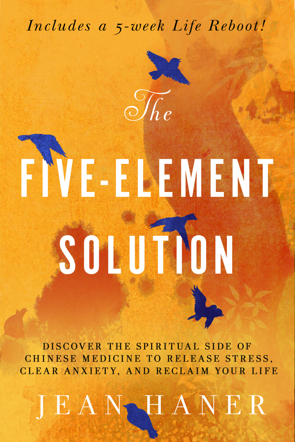 The Five-Element Solution (eBook)