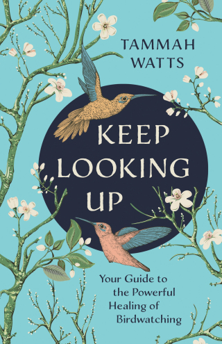Cover image: Keep Looking Up 9781401963347