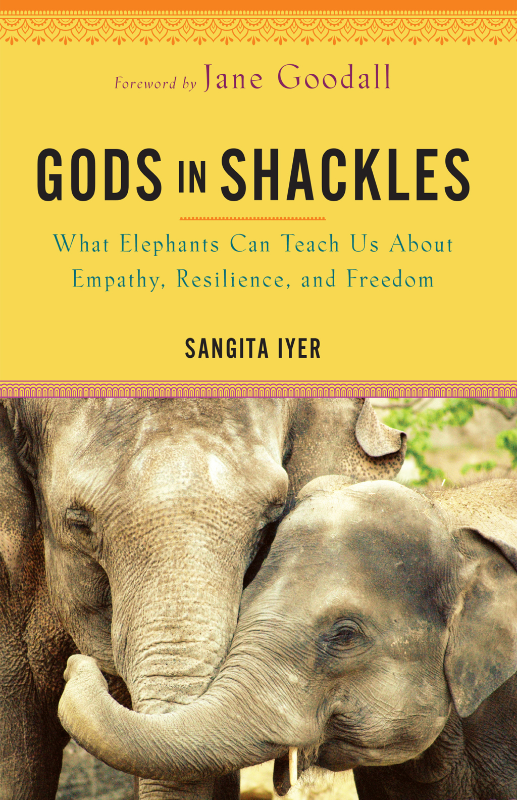 Gods in Shackles What Elephants Can Teach Us About Empathy, Resilience, and Freedom