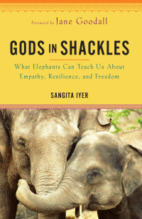 Cover image: Gods in Shackles 9781401968847