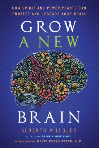 Cover image: Grow a New Brain 9781401973186
