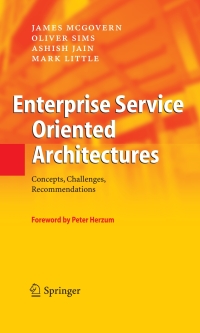 Titelbild: Enterprise Service Oriented Architectures 9781402037047