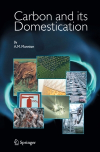 Omslagafbeelding: Carbon and Its Domestication 9781402039577