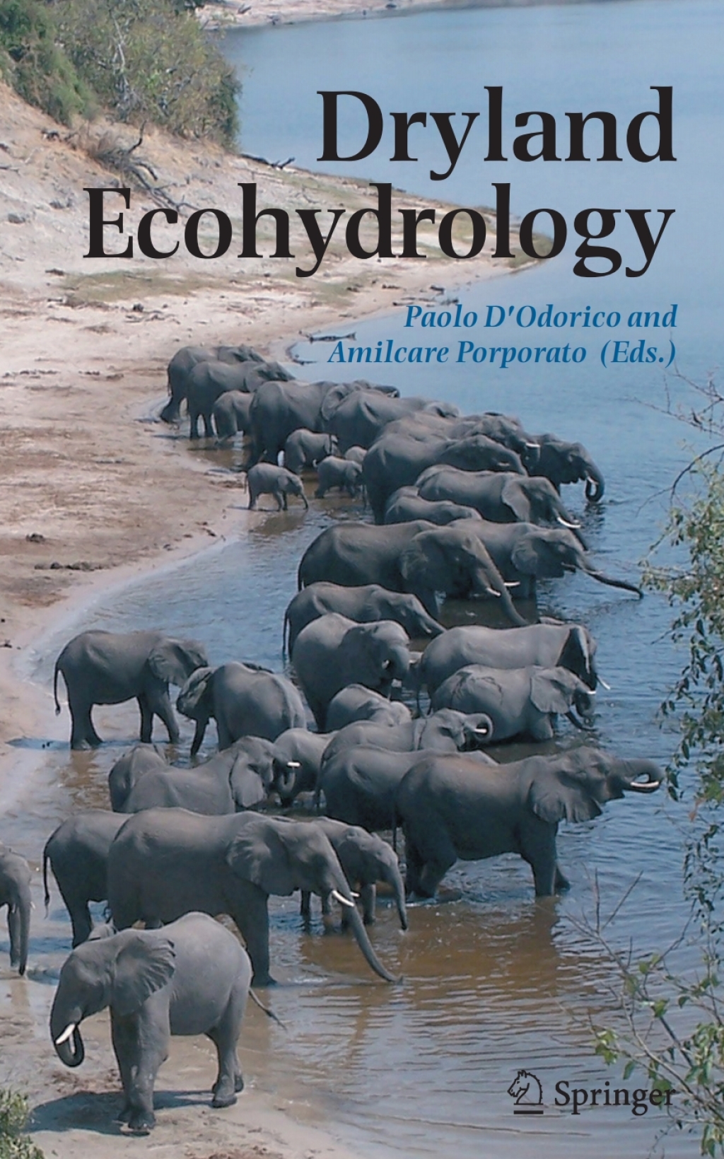 Dryland Ecohydrology 1st Edition