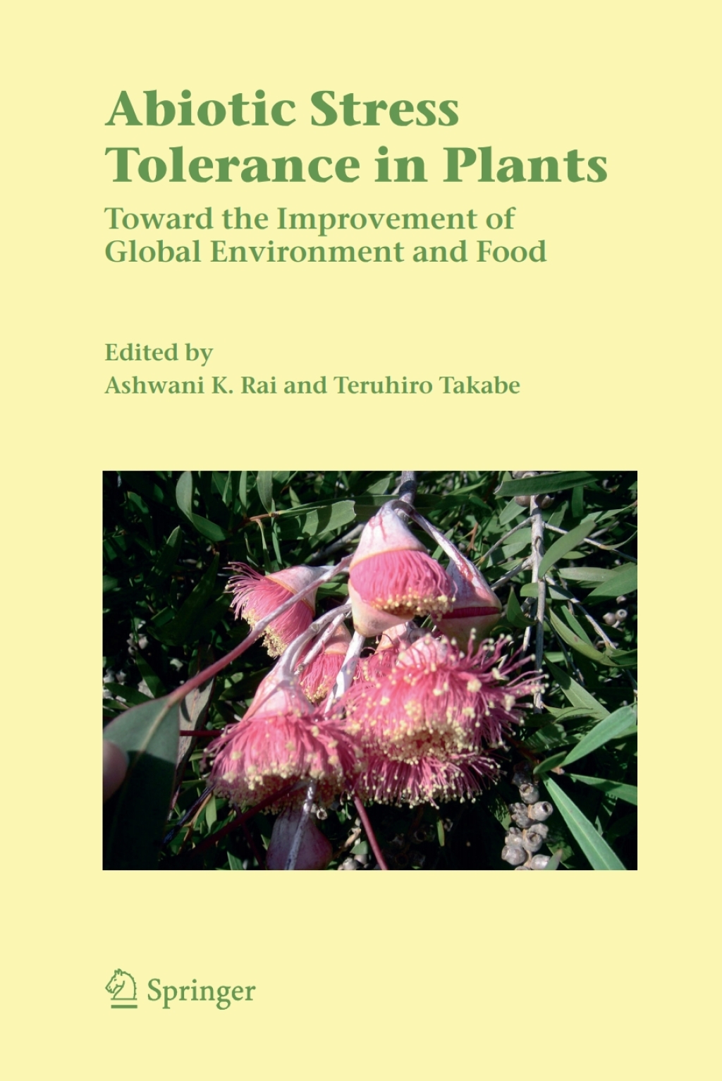 Abiotic Stress Tolerance in Plants Toward the Improvement of Global Environment and Food 1st Edition