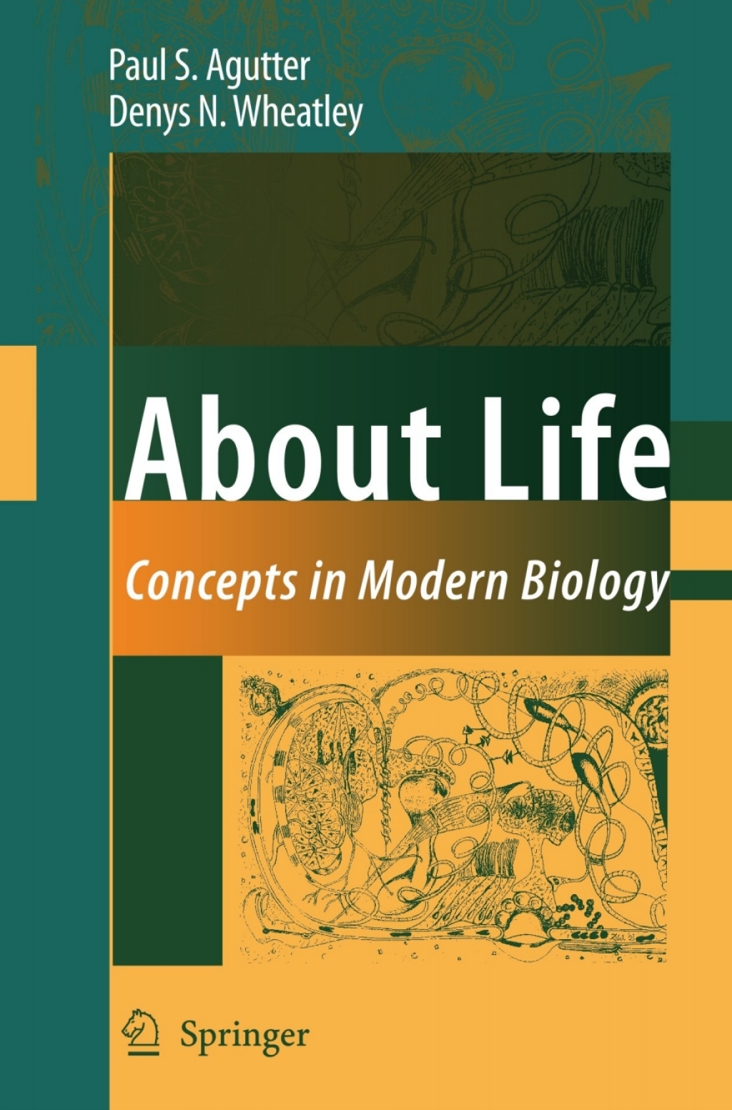 About Life Concepts in Modern Biology