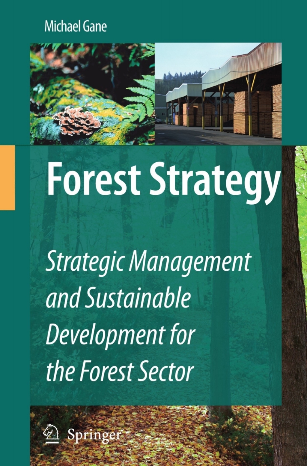 Forest Strategy Strategic Management and Sustainable Development for the Forest Sector