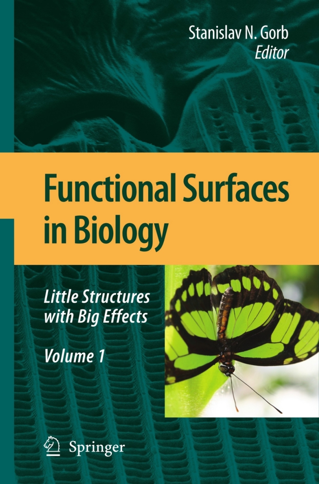 Functional Surfaces in Biology Little Structures with Big Effects Volume 1 1st Edition