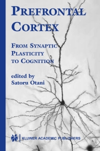 Cover image: Prefrontal Cortex 1st edition 9781402077661