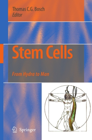 Cover image: Stem Cells 1st edition 9781402082733