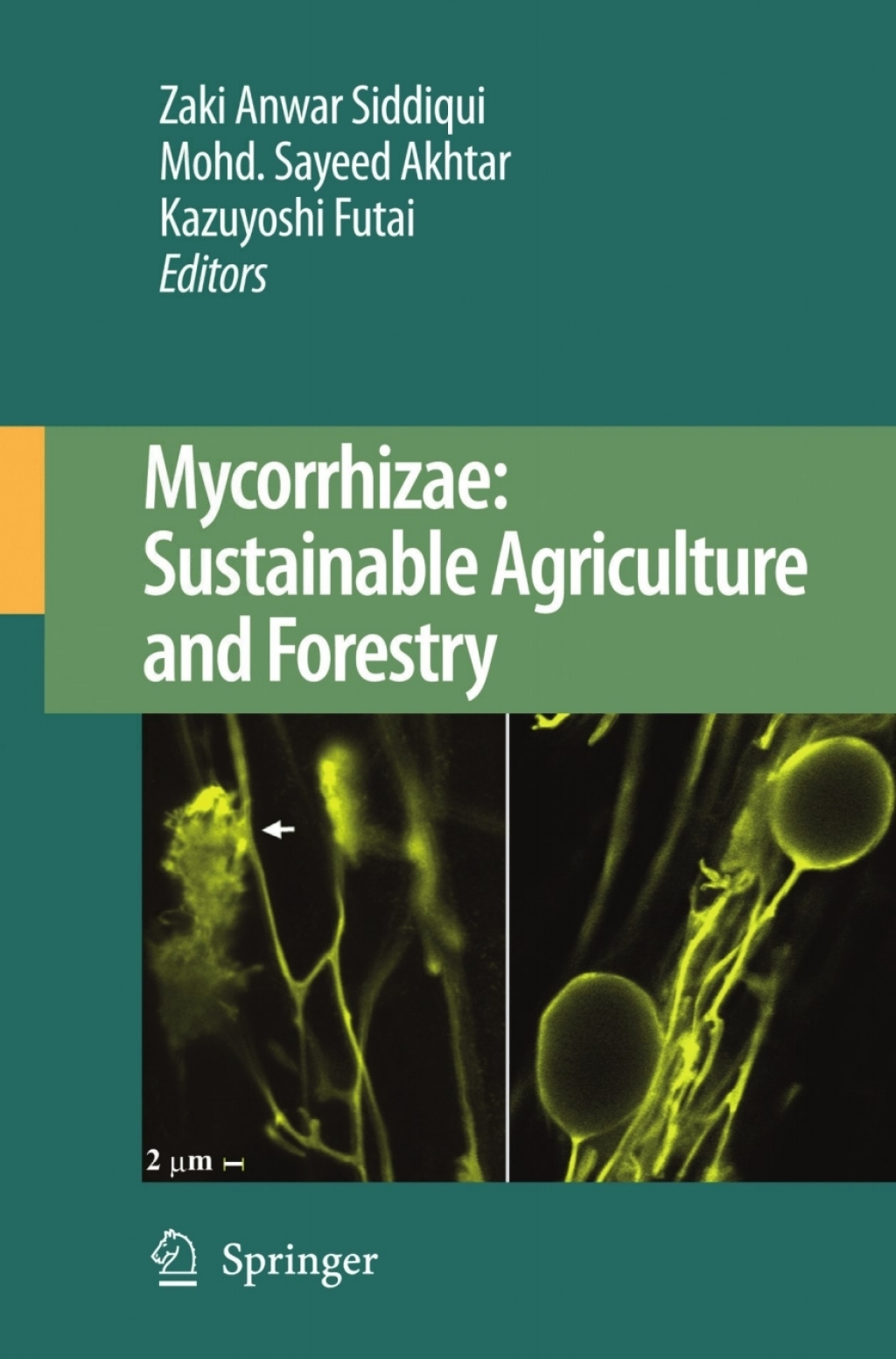 Mycorrhizae: Sustainable Agriculture and Forestry 1st Edition