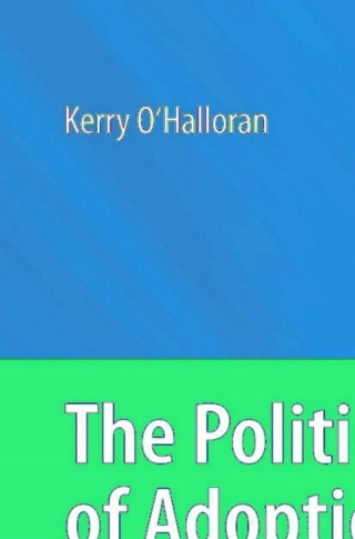 صورة الغلاف: The Politics of Adoption 2nd edition 9781402091513